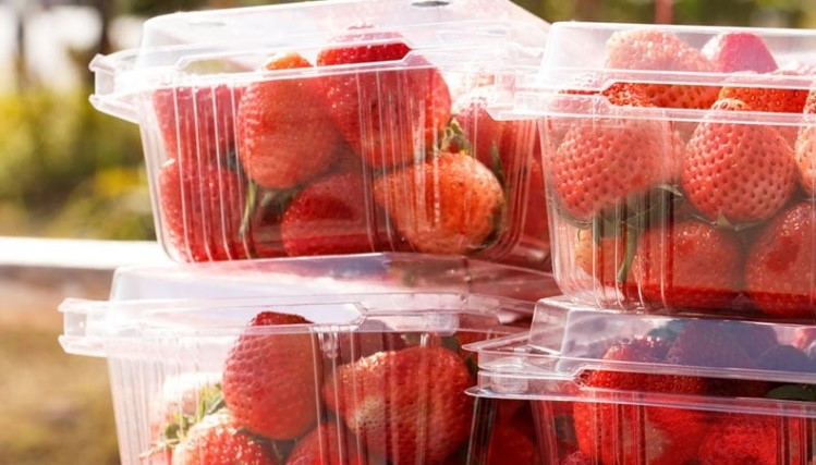 ZnO In packaging industry 