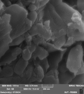 SEM IMAGE OF GRAPHENE